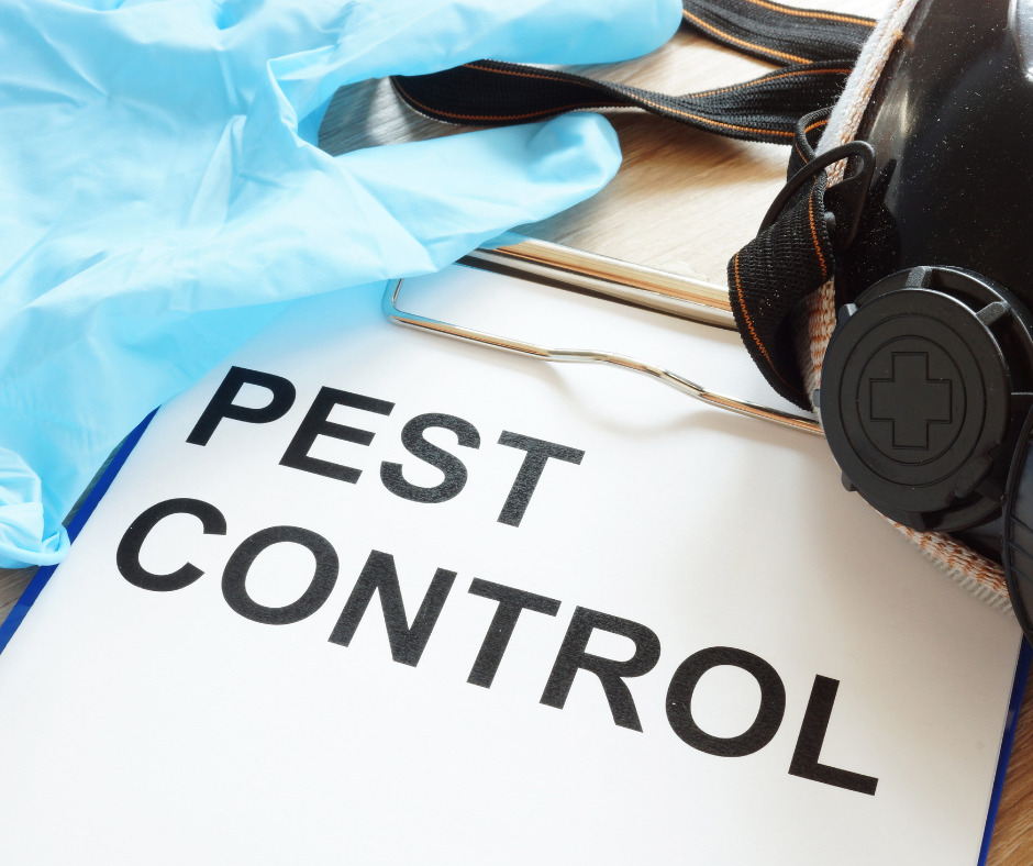 Before and After Pest Control Treatment