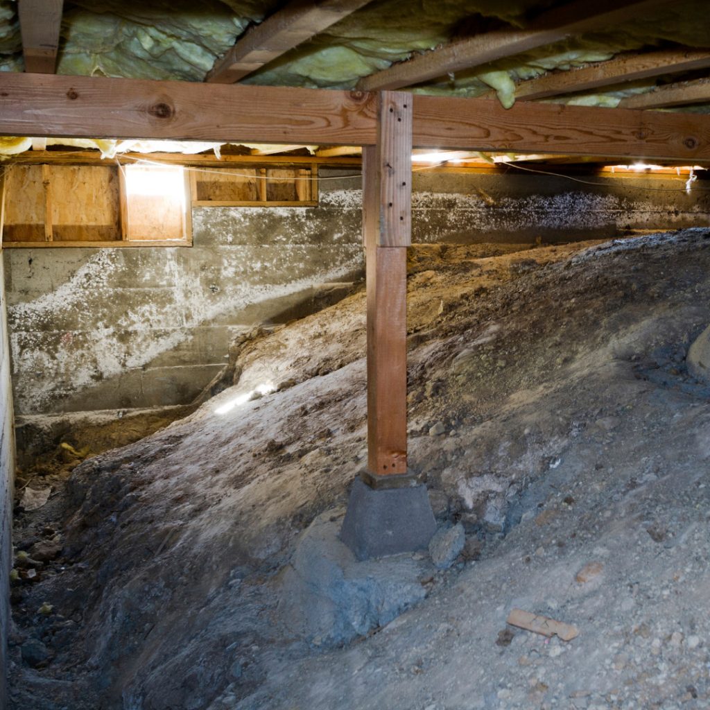 Common Crawlspace Problems