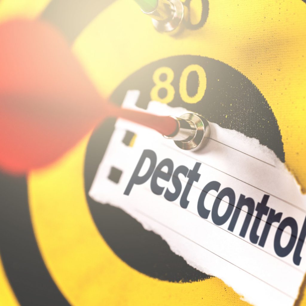 DIY Pest Control